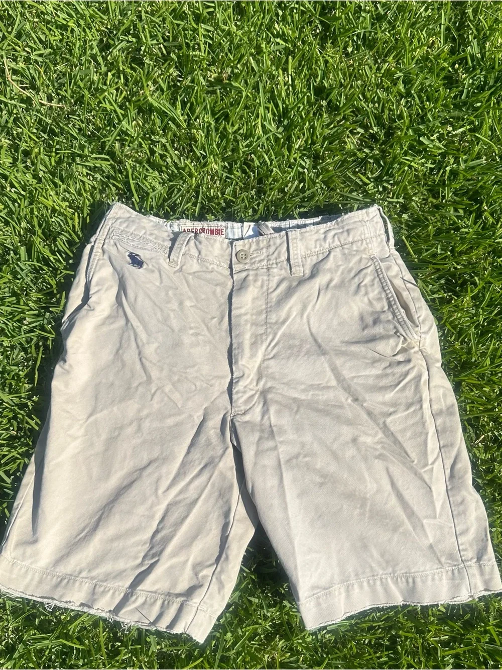 Abercrombie & Fitch Men's Light Khaki Flat Front Shorts Chino Size 30